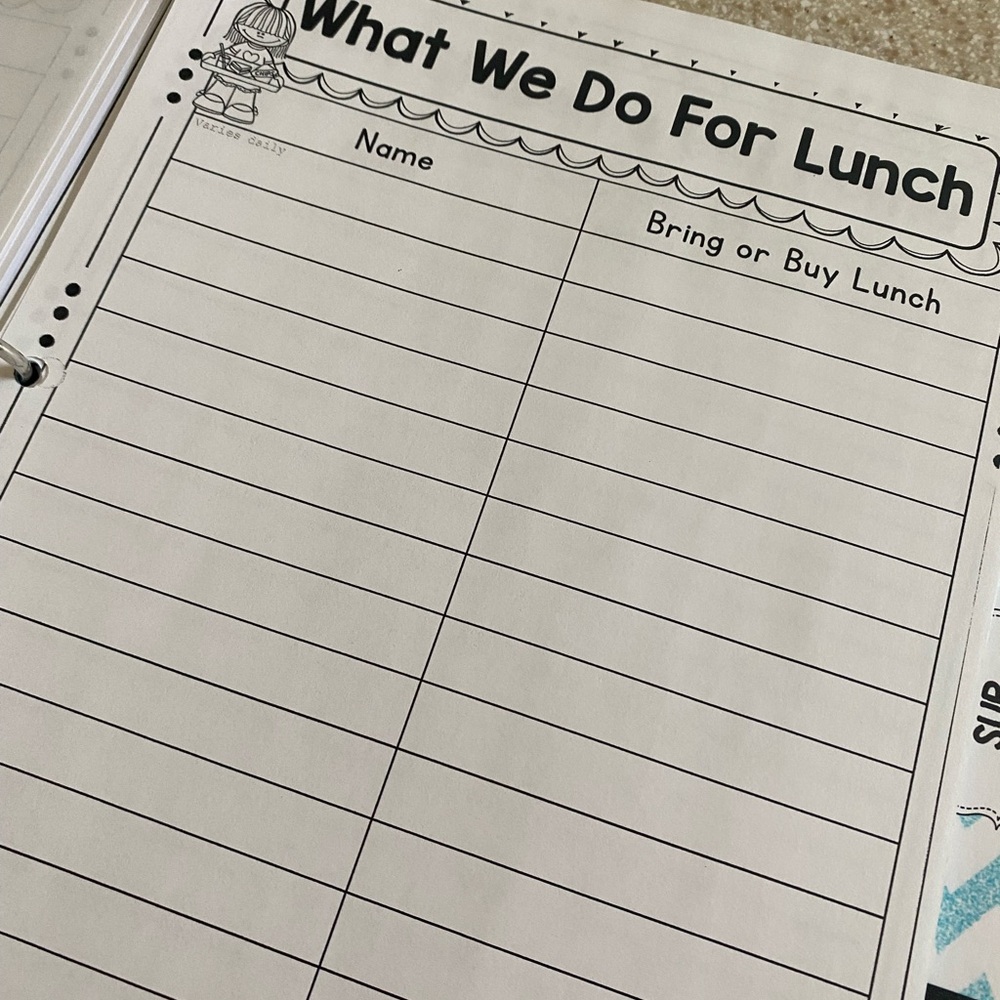 TEACHER GRAB BAG Substitute Teacher Binder - Picture 6 of 15